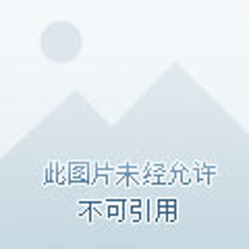 微信群机器人：提升互动与效率的新利器